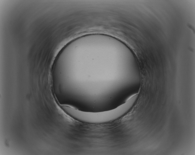 X0000098121527200804251440