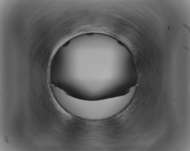 X0000098121528200804251440