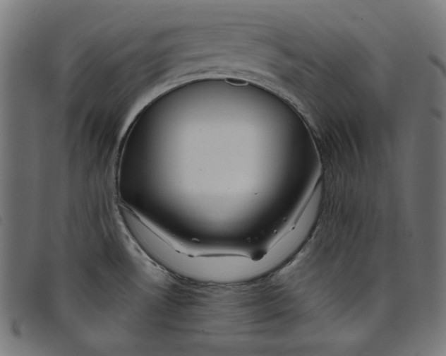 X0000098121530200804251440