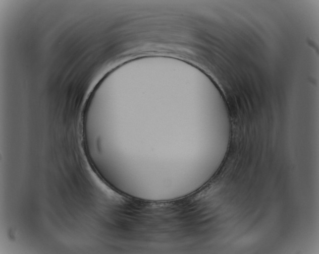X0000098121531200804251440