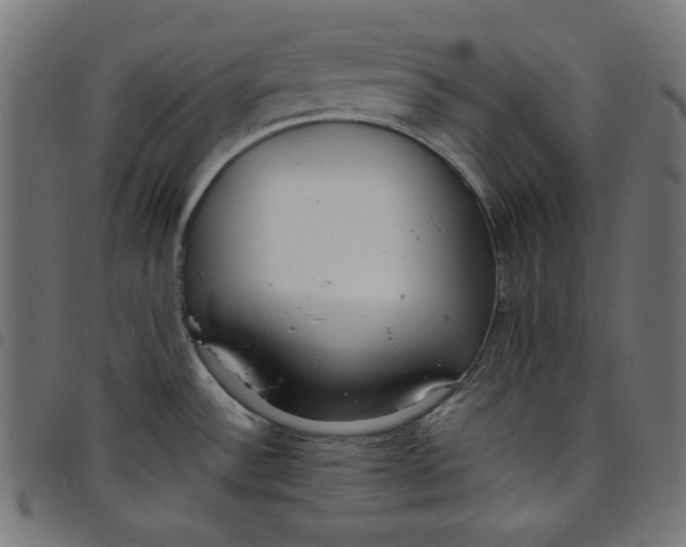 X0000098121532200804251440