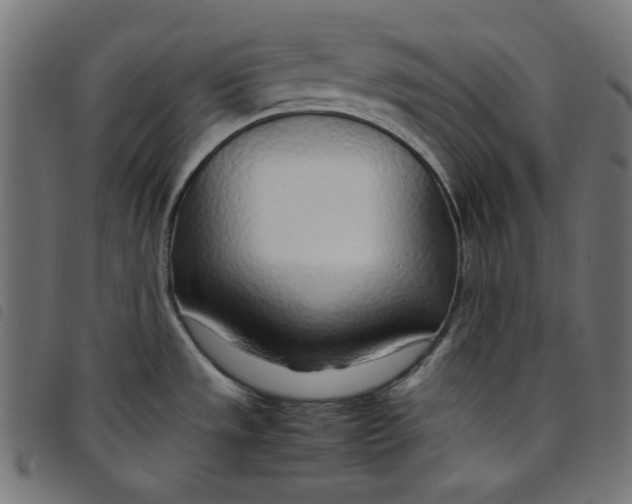 X0000098121533200804251440