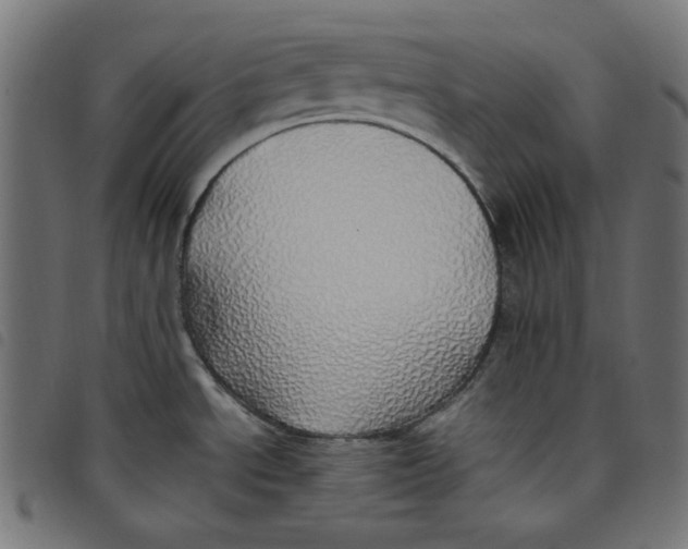 X0000098121534200804251440