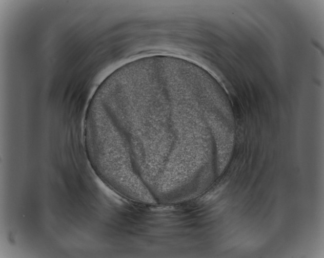 X0000098121535200804251440