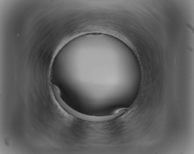X0000098121536200804251440