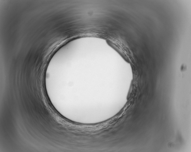 X0000098120001200805021208