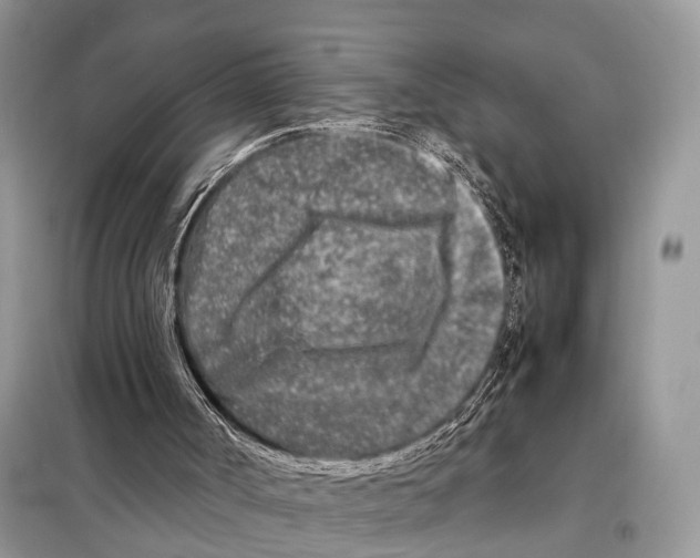 X0000098120002200805021208