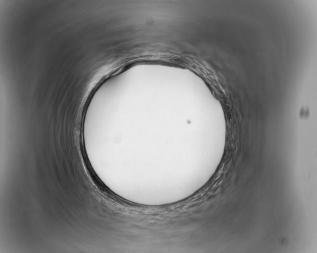 X0000098120003200805021208