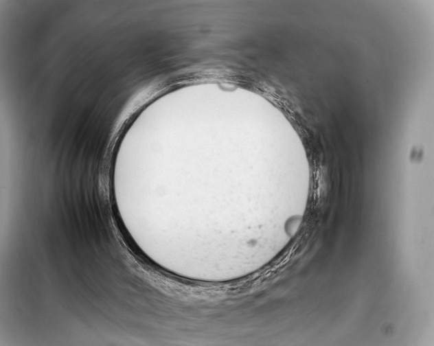 X0000098120004200805021208