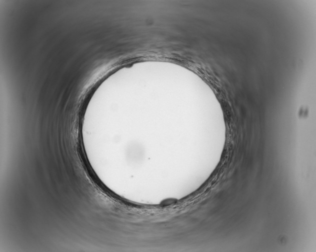 X0000098120005200805021207