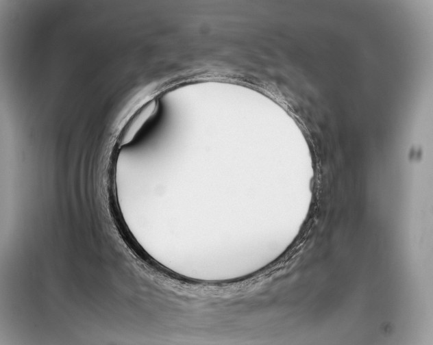 X0000098120007200805021207