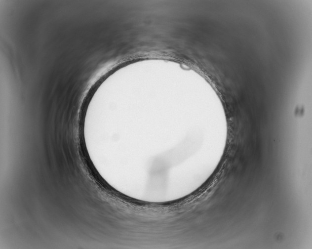 X0000098120008200805021207