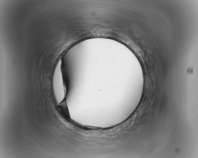 X0000098120009200805021207