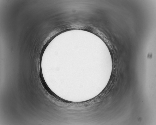 X0000098120011200805021207