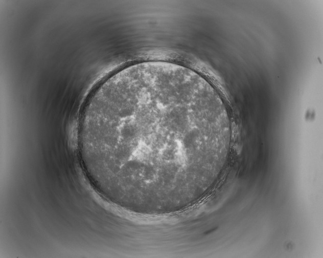 X0000098120012200805021207