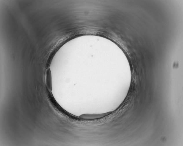 X0000098120013200805021207