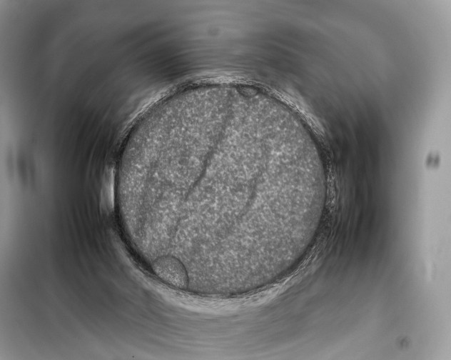 X0000098120014200805021207