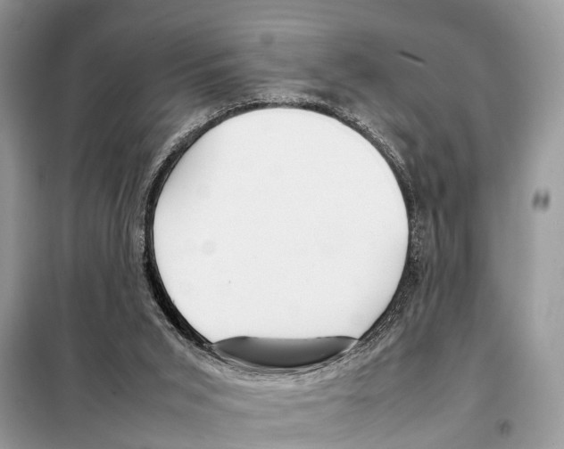 X0000098120015200805021207