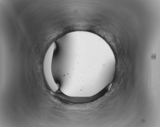 X0000098120017200805021207