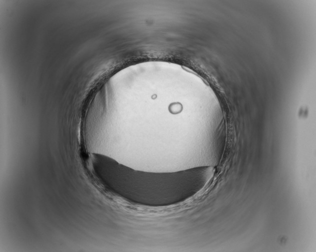 X0000098120019200805021207