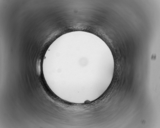 X0000098120020200805021207