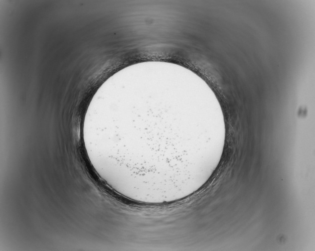 X0000098120021200805021207