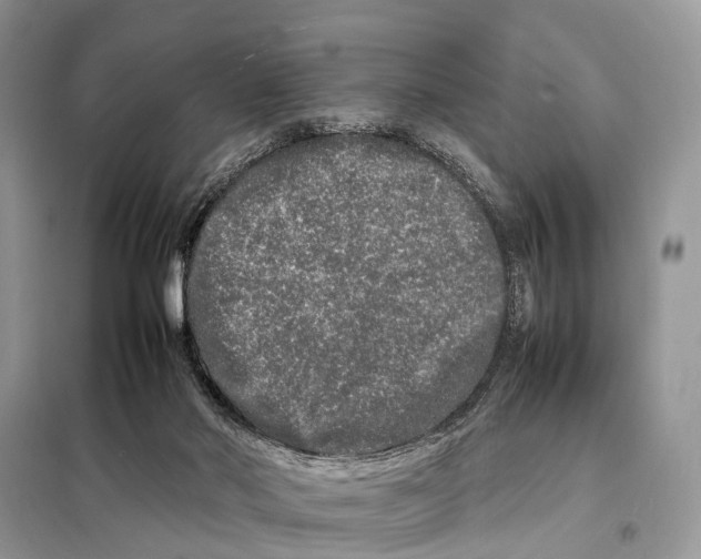 X0000098120022200805021207