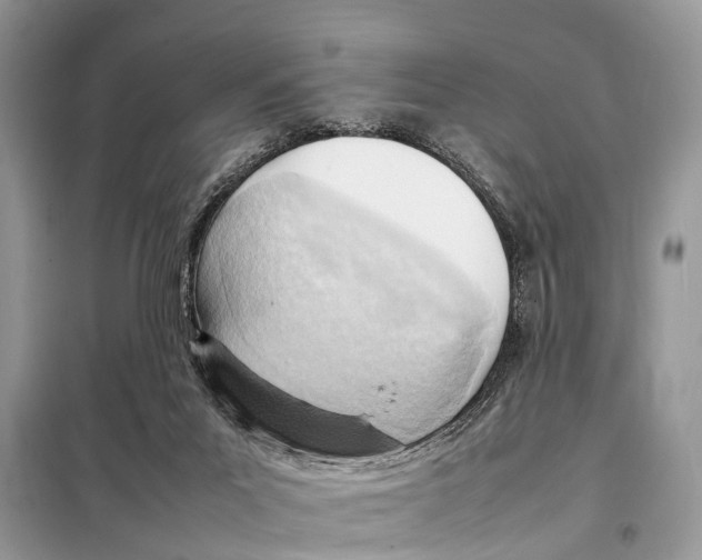 X0000098120023200805021207