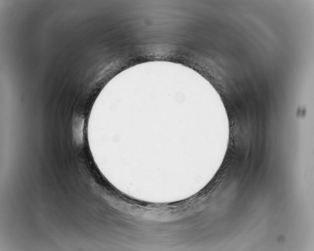 X0000098120024200805021207