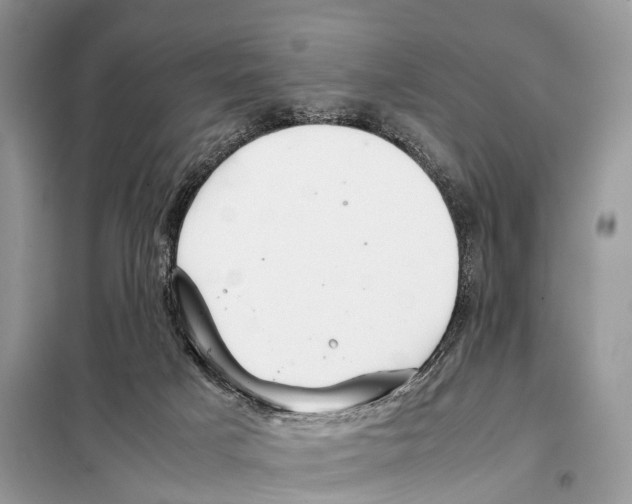 X0000098120025200805021207