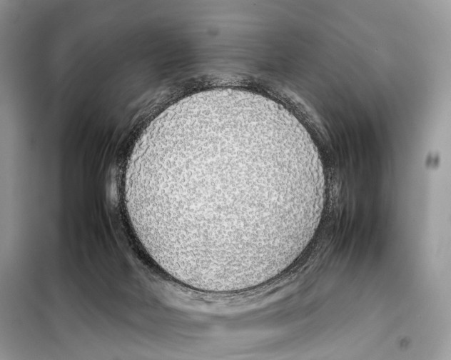 X0000098120026200805021207