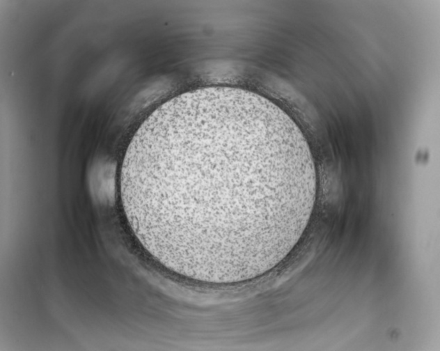 X0000098120028200805021207