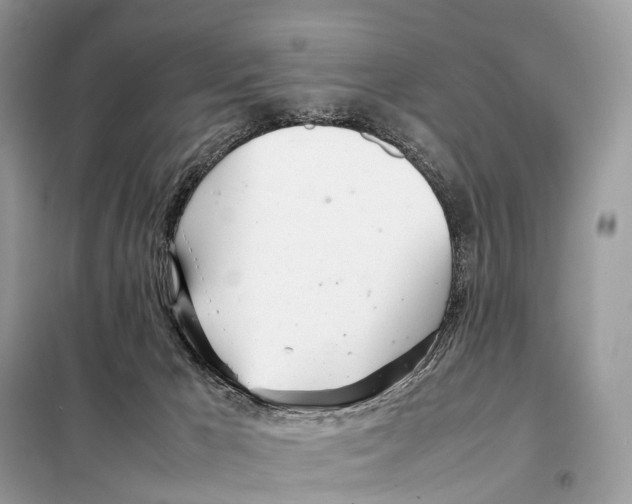 X0000098120029200805021207