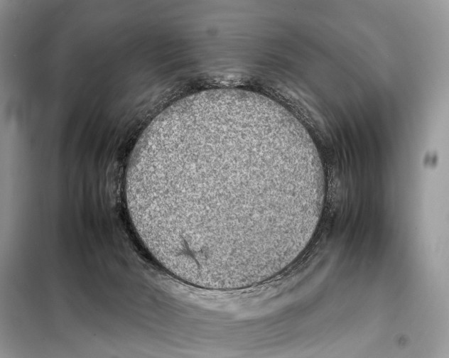 X0000098120030200805021207