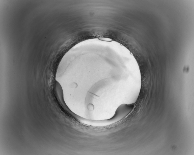 X0000098120031200805021207