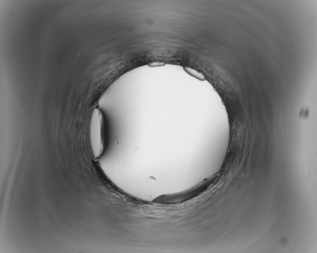 X0000098120033200805021207