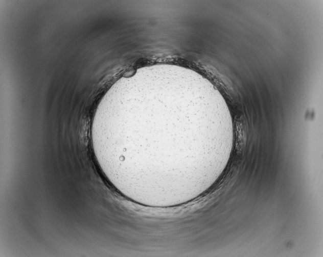 X0000098120034200805021207