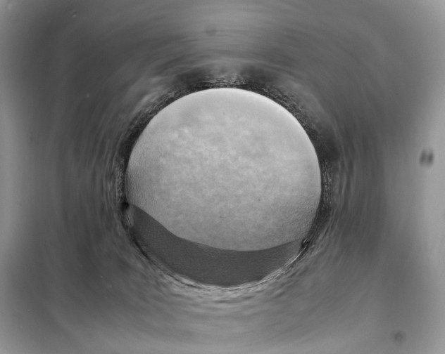 X0000098120035200805021207