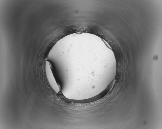 X0000098120037200805021207