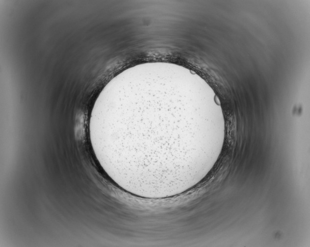 X0000098120038200805021207