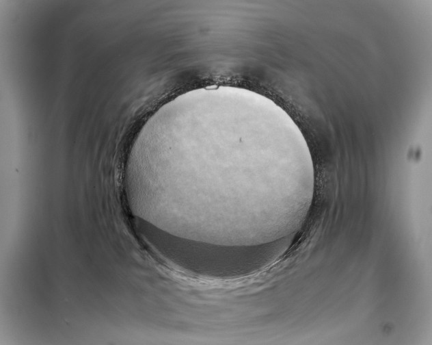 X0000098120039200805021207