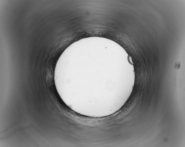 X0000098120040200805021207