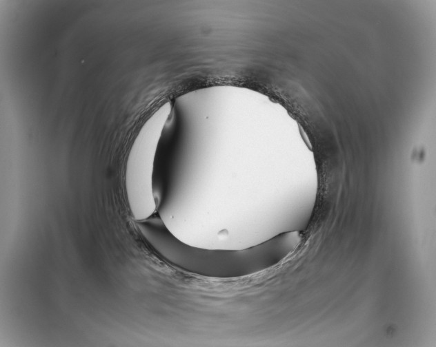 X0000098120041200805021207