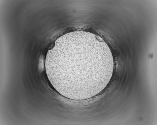 X0000098120042200805021207