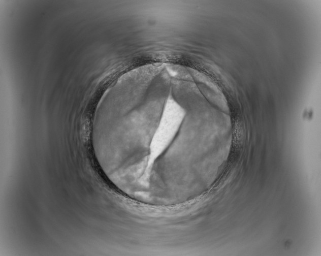 X0000098120043200805021207