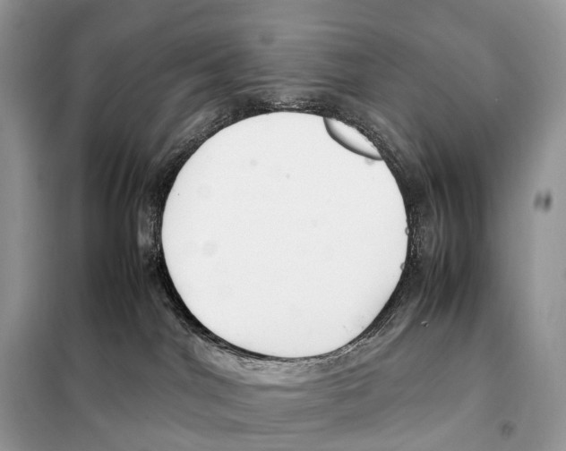 X0000098120044200805021207