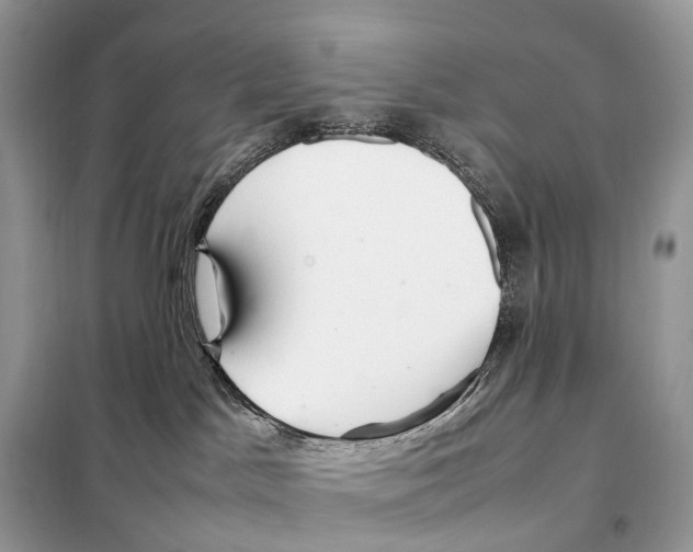 X0000098120045200805021207