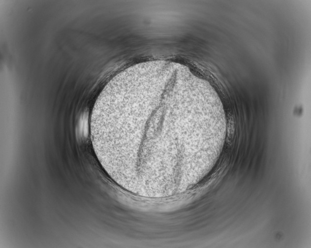 X0000098120046200805021207