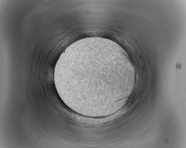 X0000098120048200805021207