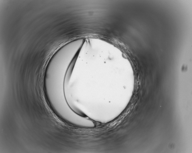 X0000098120049200805021206